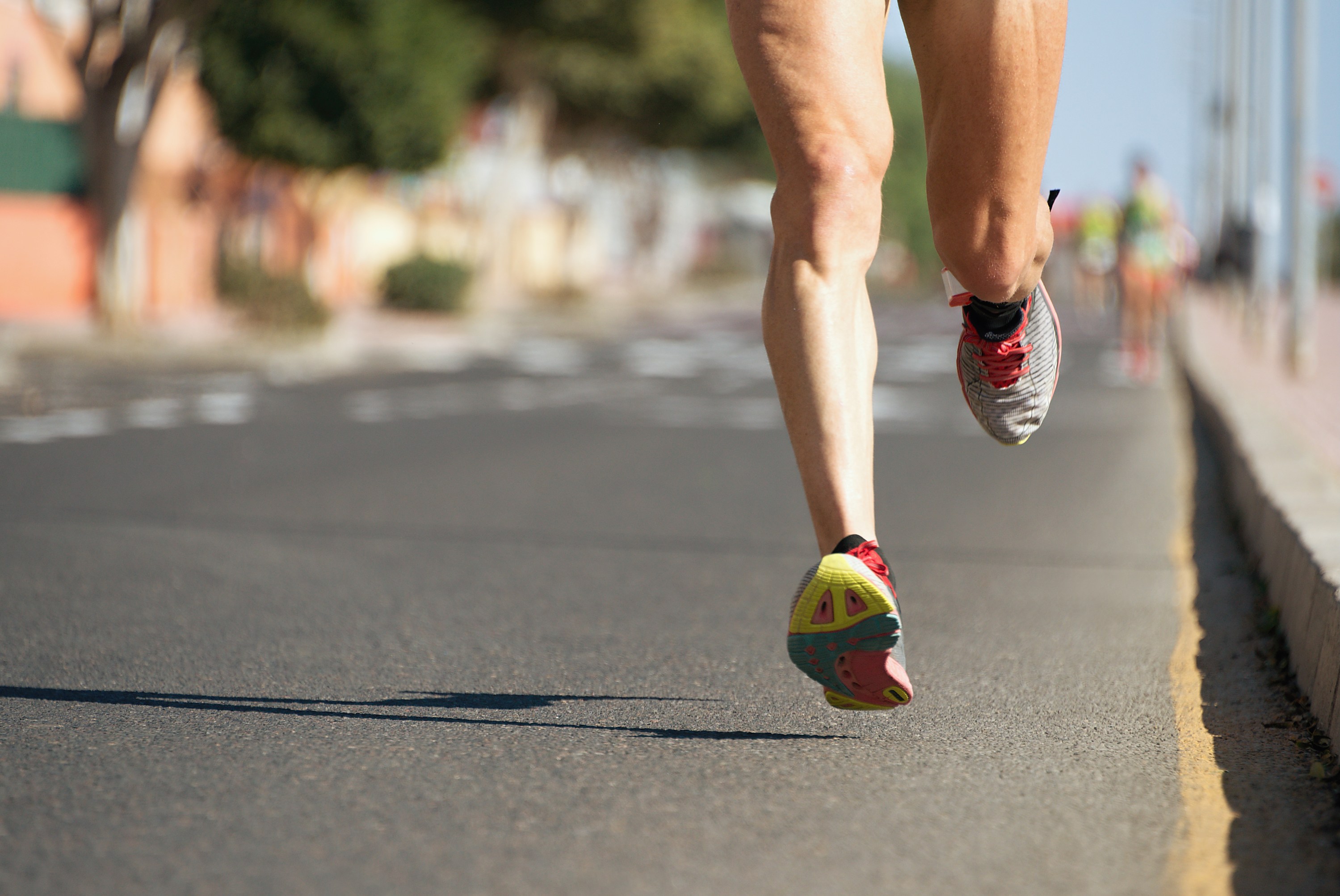 Round the Bays – Auckland