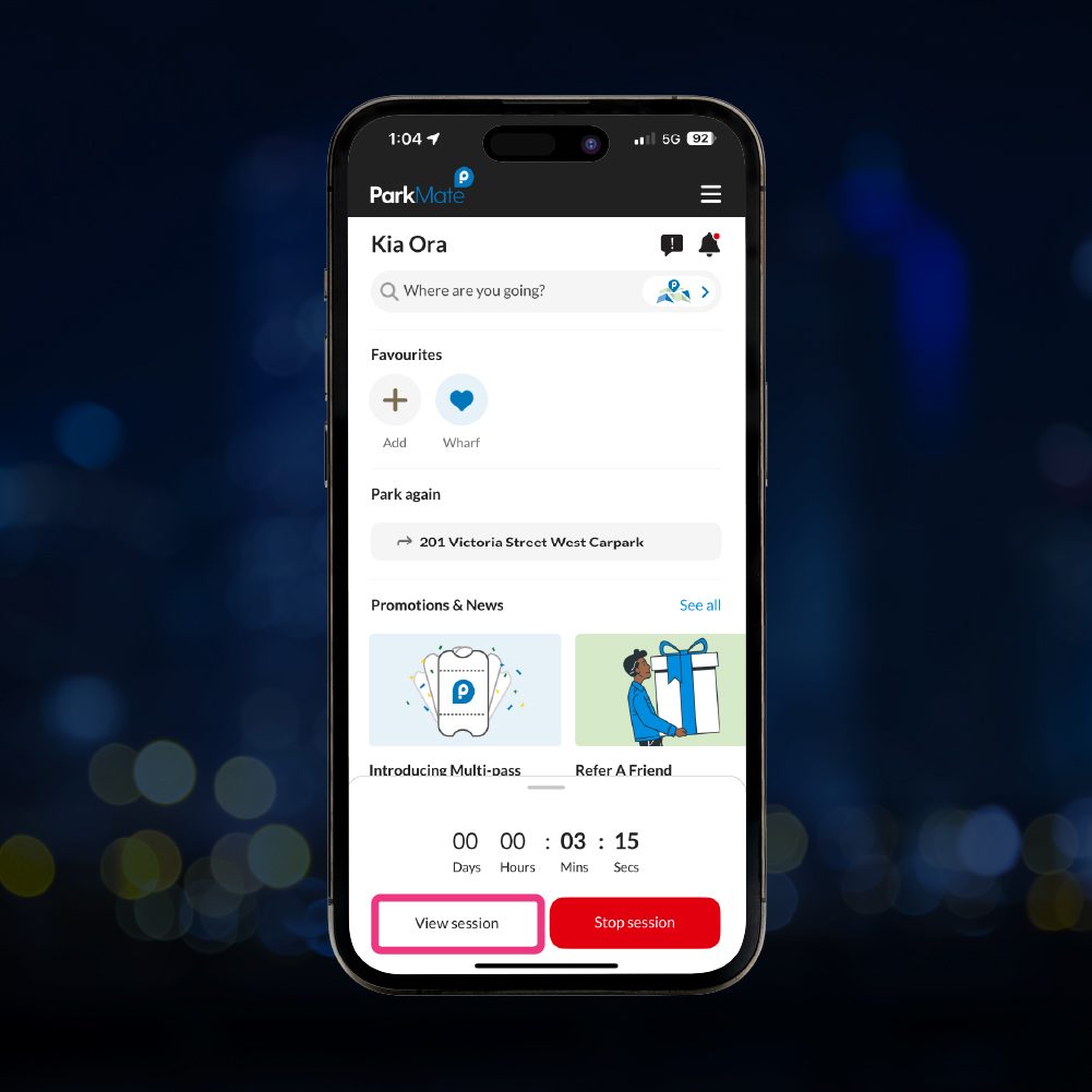 0373 PM Roller Door Guide - Webpage Images V2-5