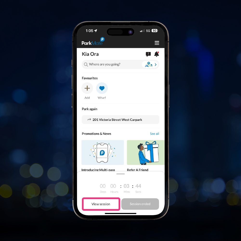0373 PM Roller Door Guide - Webpage Images V2-7